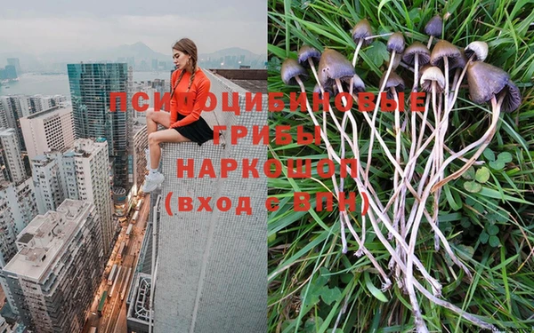 PSILOCYBIN Белоозёрский