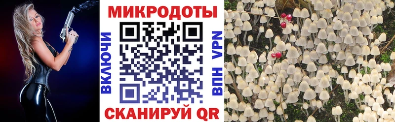 Псилоцибиновые грибы мицелий  Шацк 